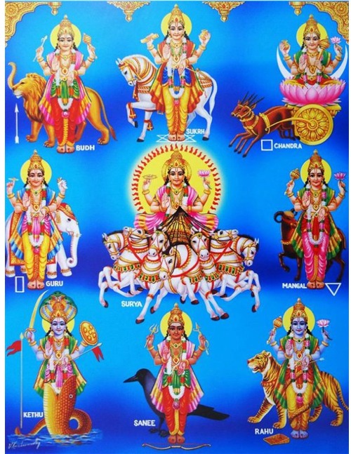 Best astrologer | Astroruchi Abhiruchi Palsapure Navgraha pooja shanti