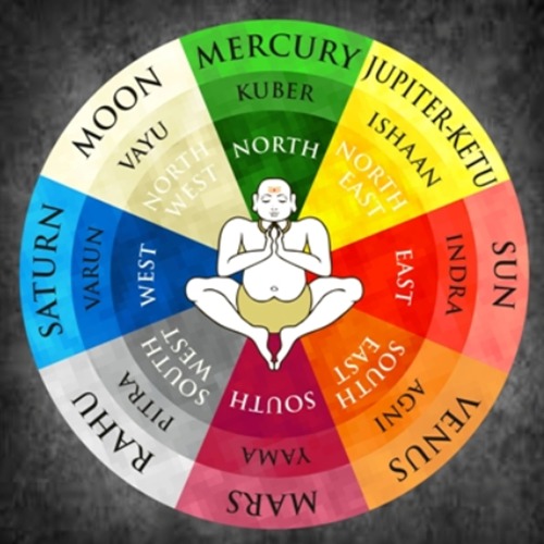 Best astrologer | Astroruchi Abhiruchi Palsapure vastu shanti