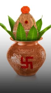 Best astrologer | Astroruchi Abhiruchi Palsapure vastu shanti
